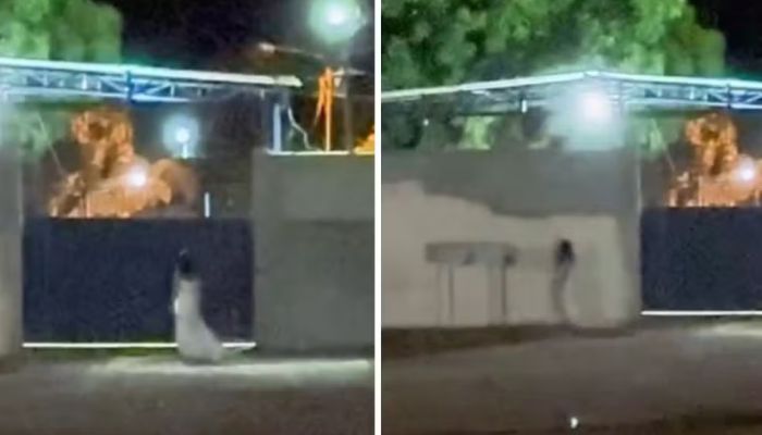 Foto: Arquivo pessoal  Vestida de noiva, mulher chama atenção ao andar em frente a cemitério em Goiás